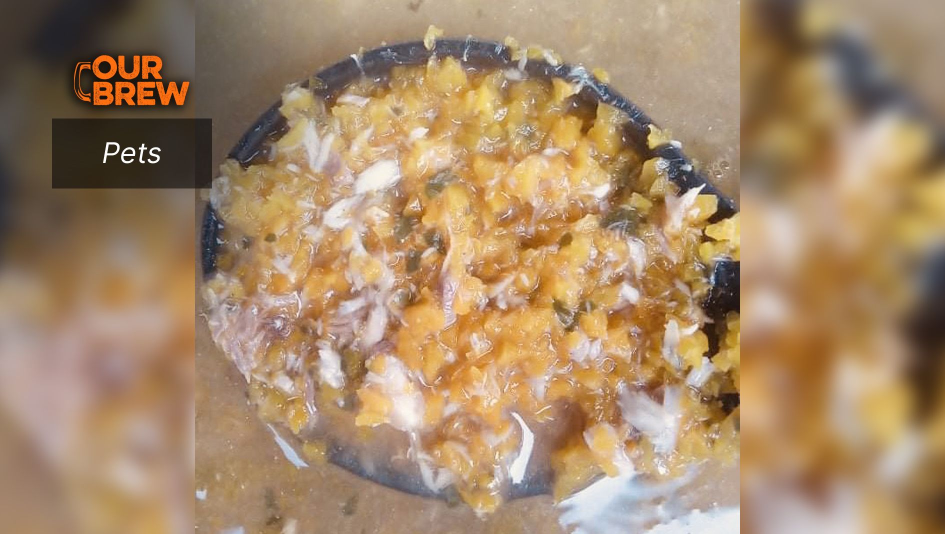 Easy Homemade Cat Food Recipe