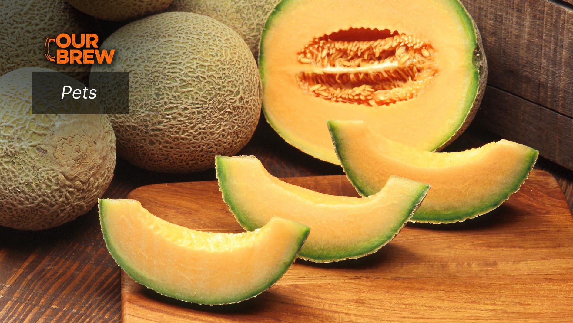 Yes, Dogs Can Eat Melons But…