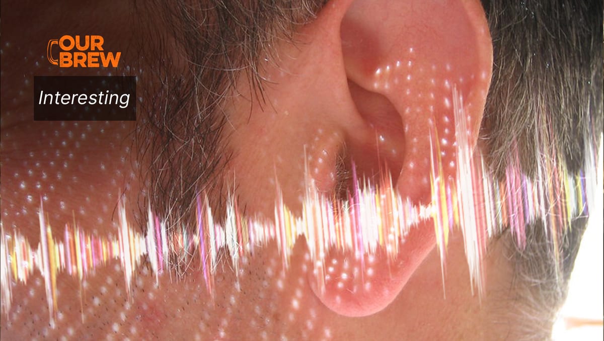 That Annoying Ringing, Buzzing and Hissing in the Ear A Hearing