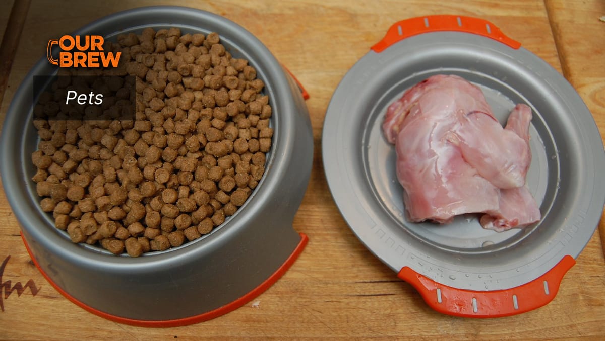 Raw Meat Vs. Cooked Meat What is Best for Your Dog?