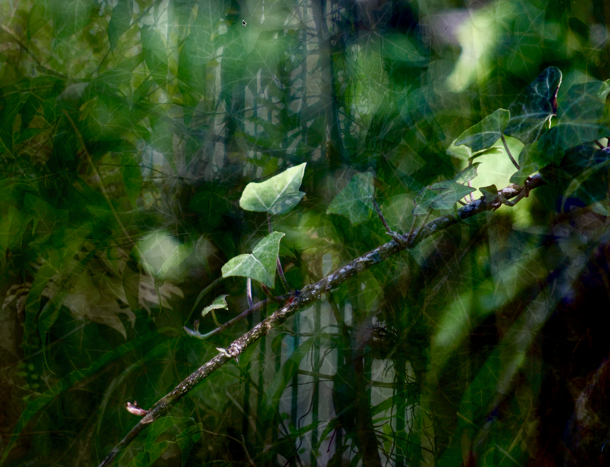 I  call it 'Houseblindness'