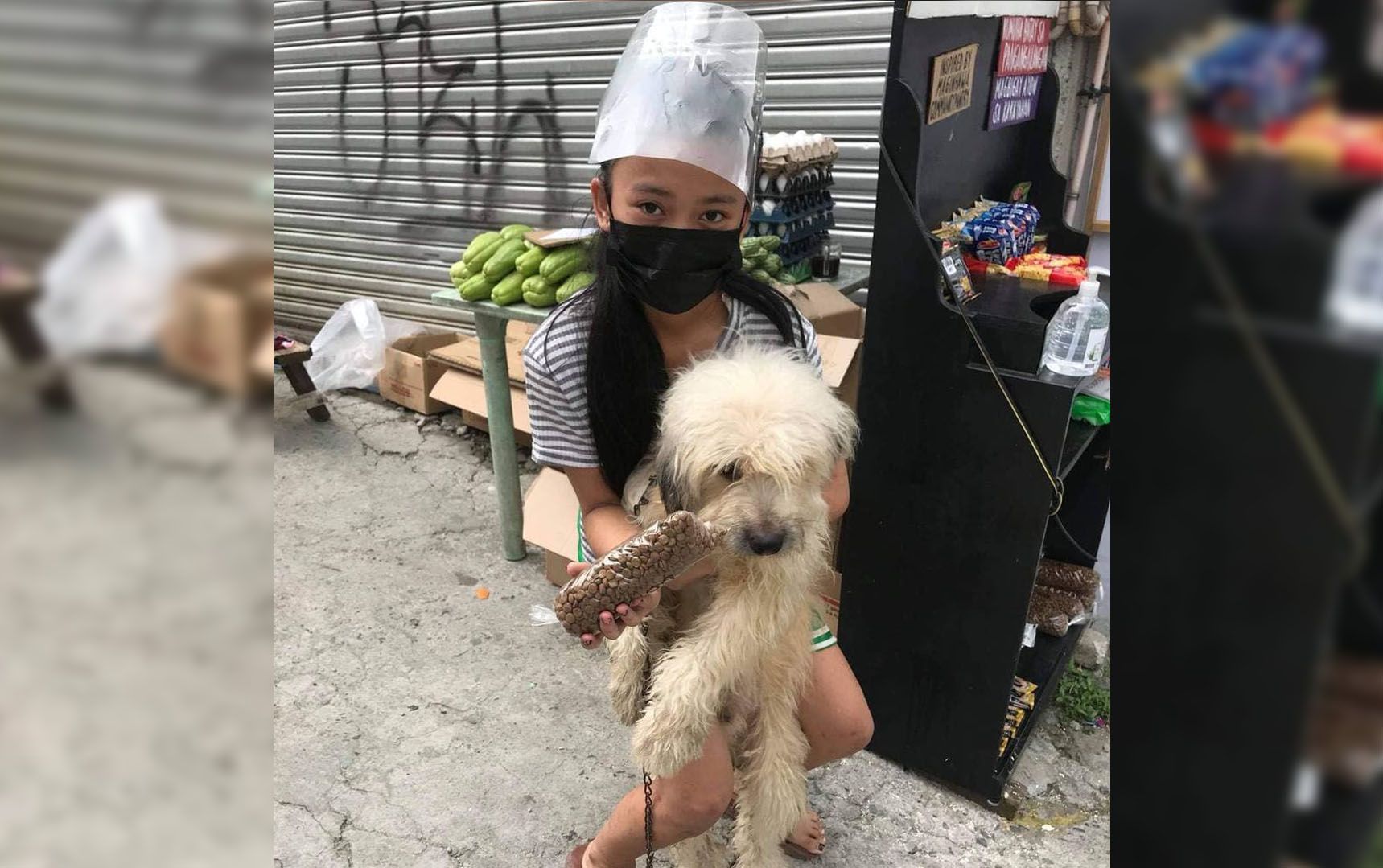 Cats and Dogs
Also Need ‘Ayuda’