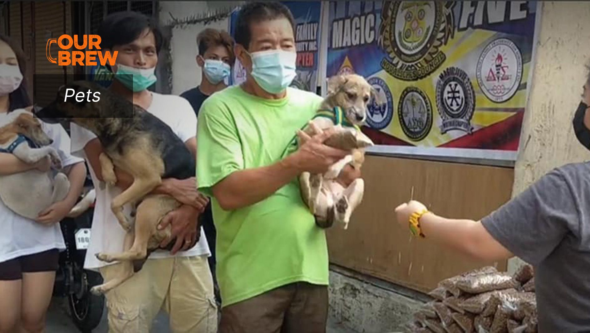 Of Feeding Stray Animals and Hungry Pets