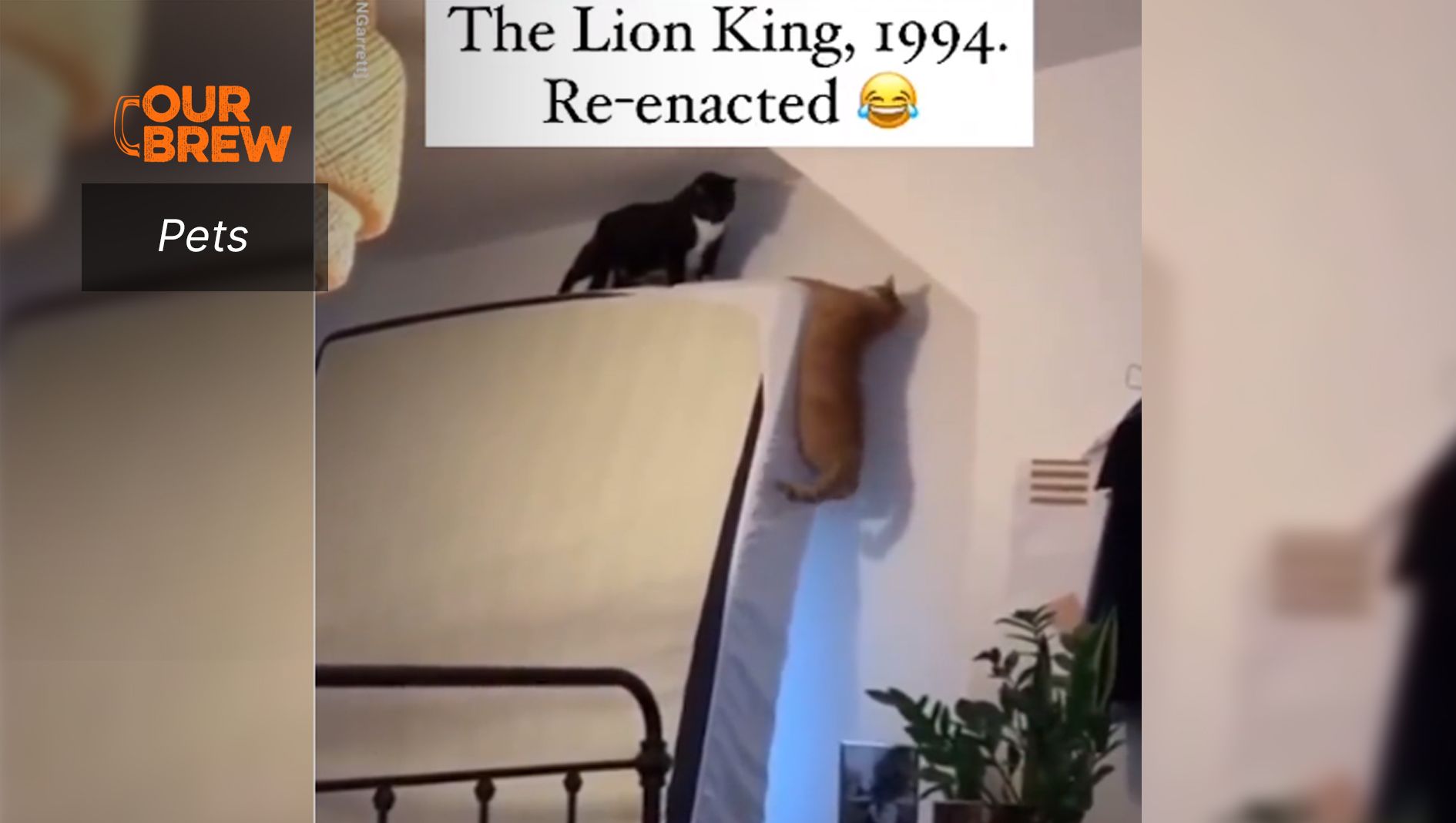 “Long Live the King”