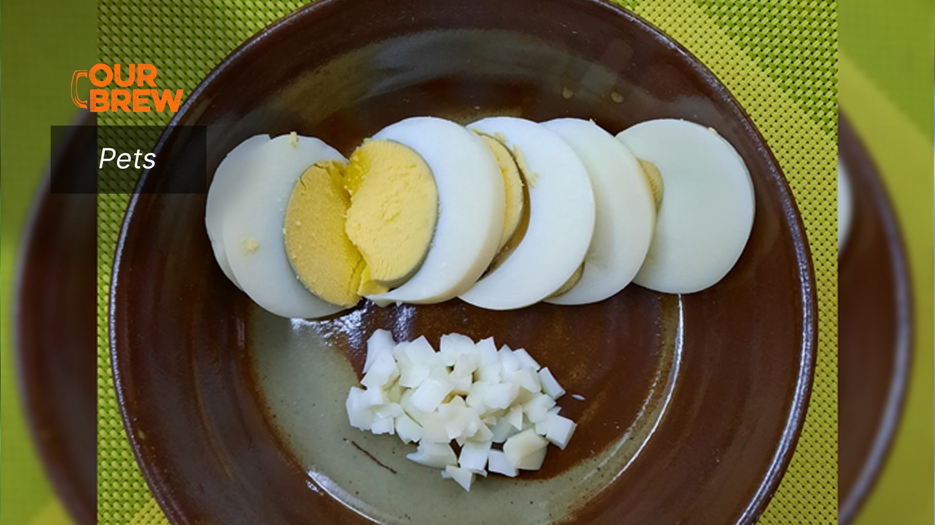 Yummy, Crunchy, and Healthy Food for your Pets