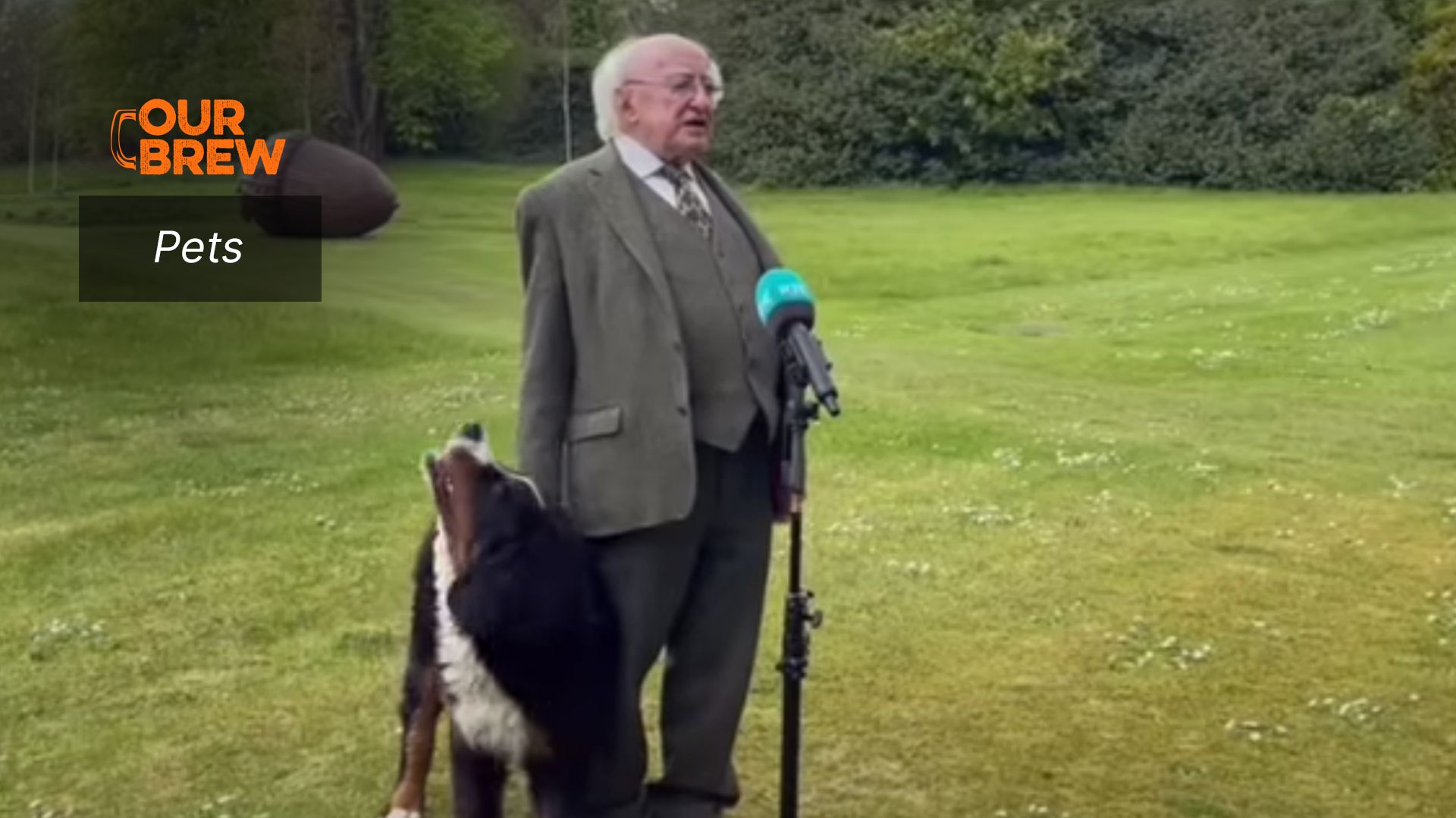 Hey, Mr. President, 
I Want A Treat!