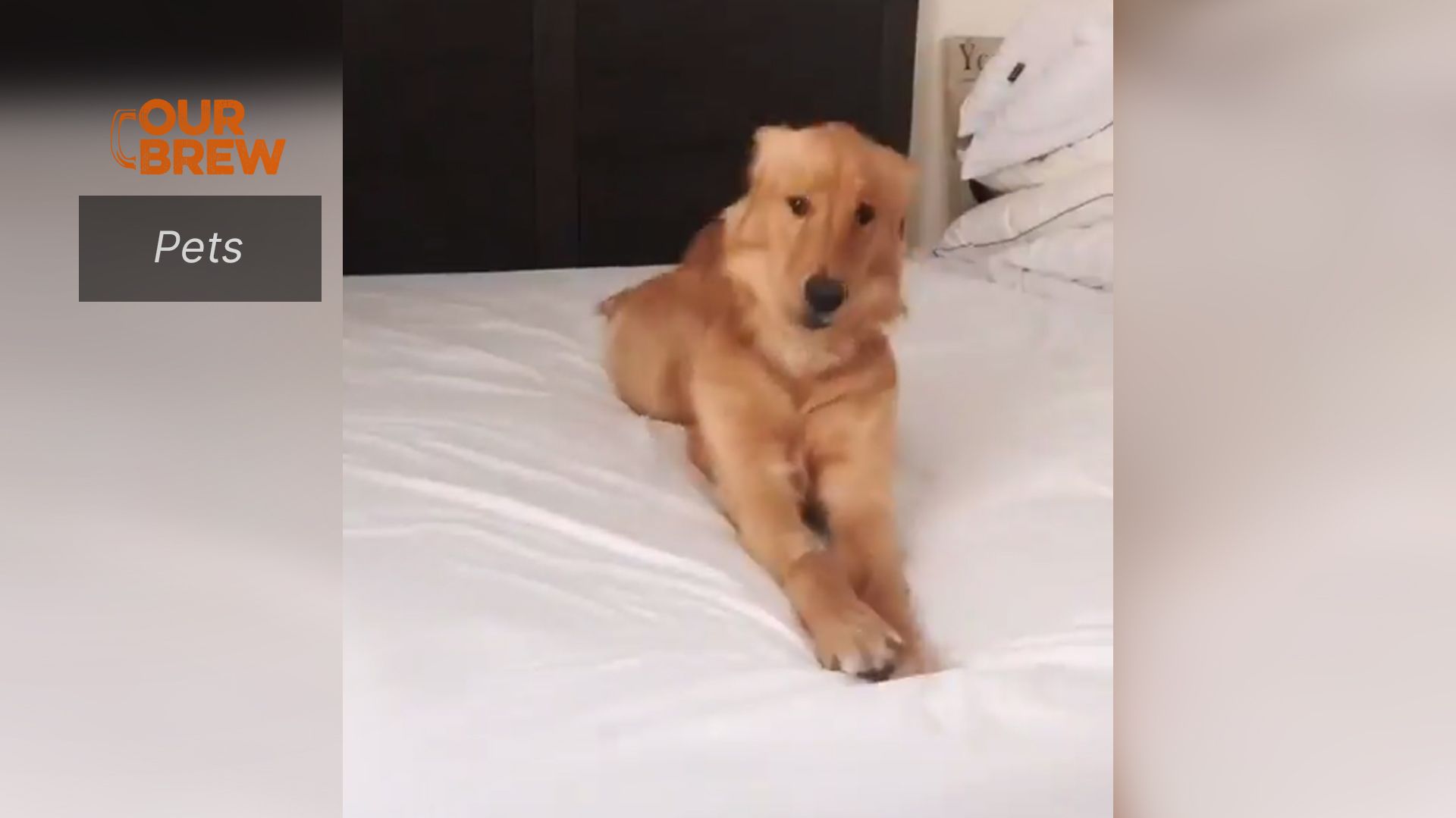 When You Learn the Liquor Ban has been Lifted