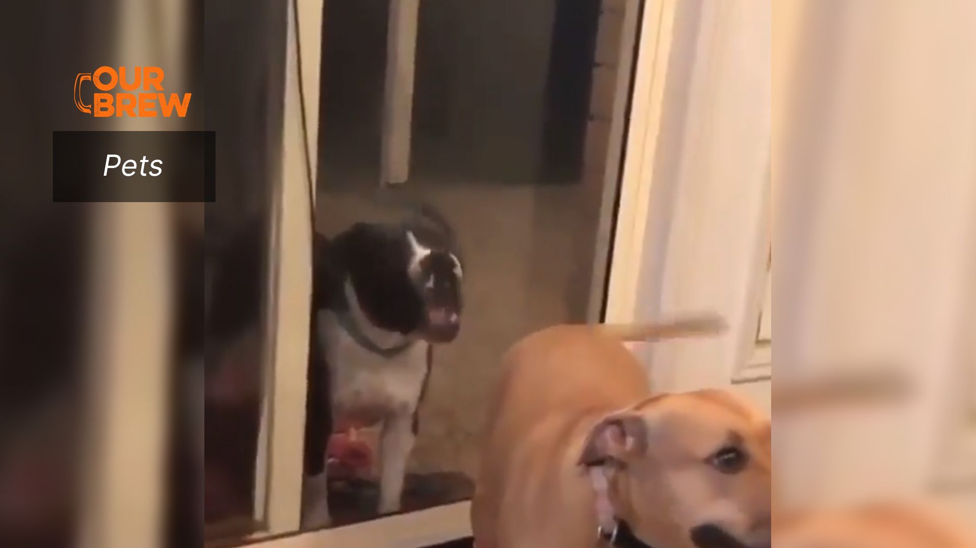 Give Me Some of That