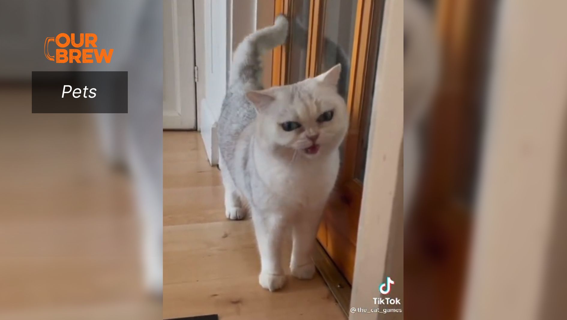 Let Me Hear You Say Yayuhhh