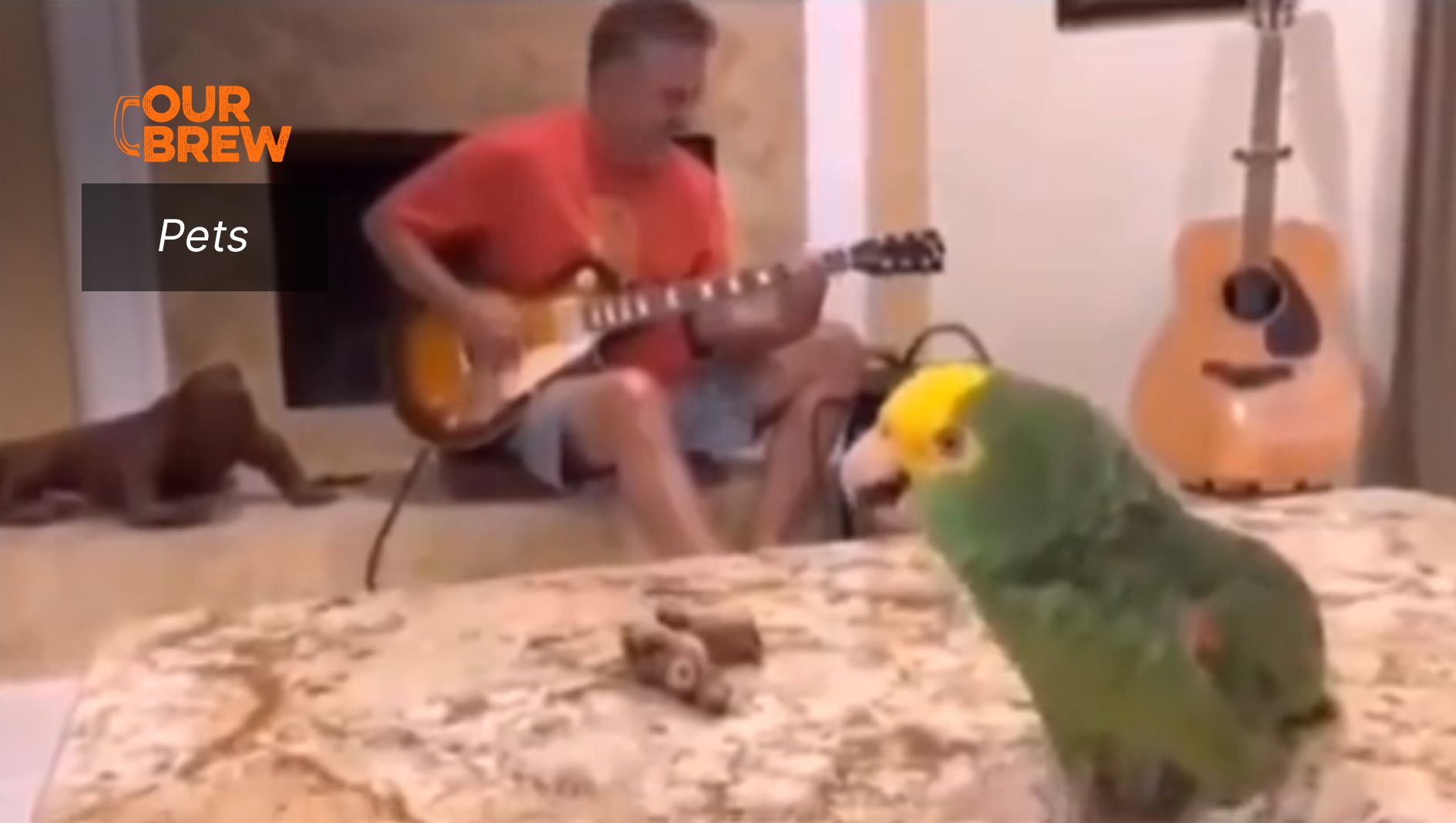 And Your Bird Can Sing
