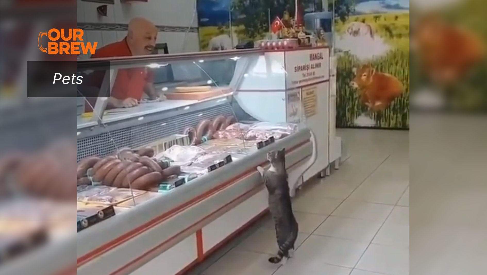 Dine In or Take Out?