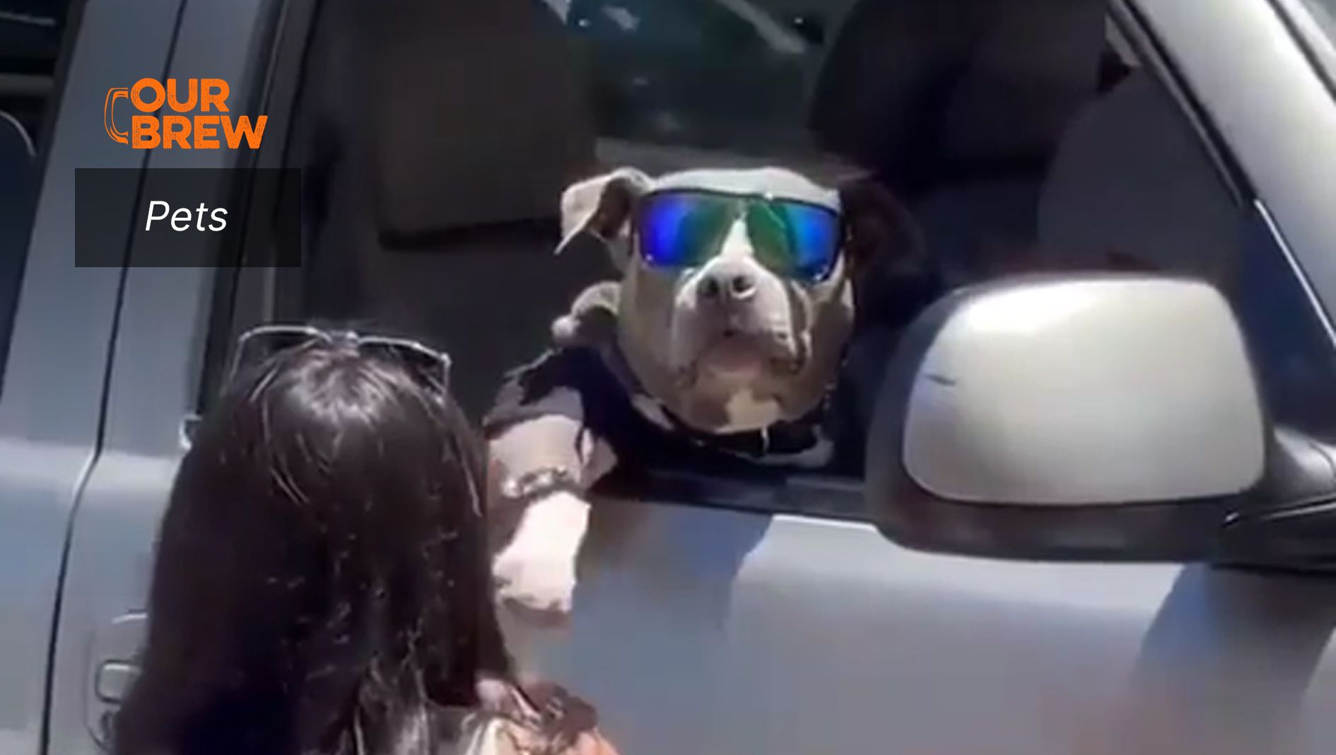 ‘What up, dawg?’