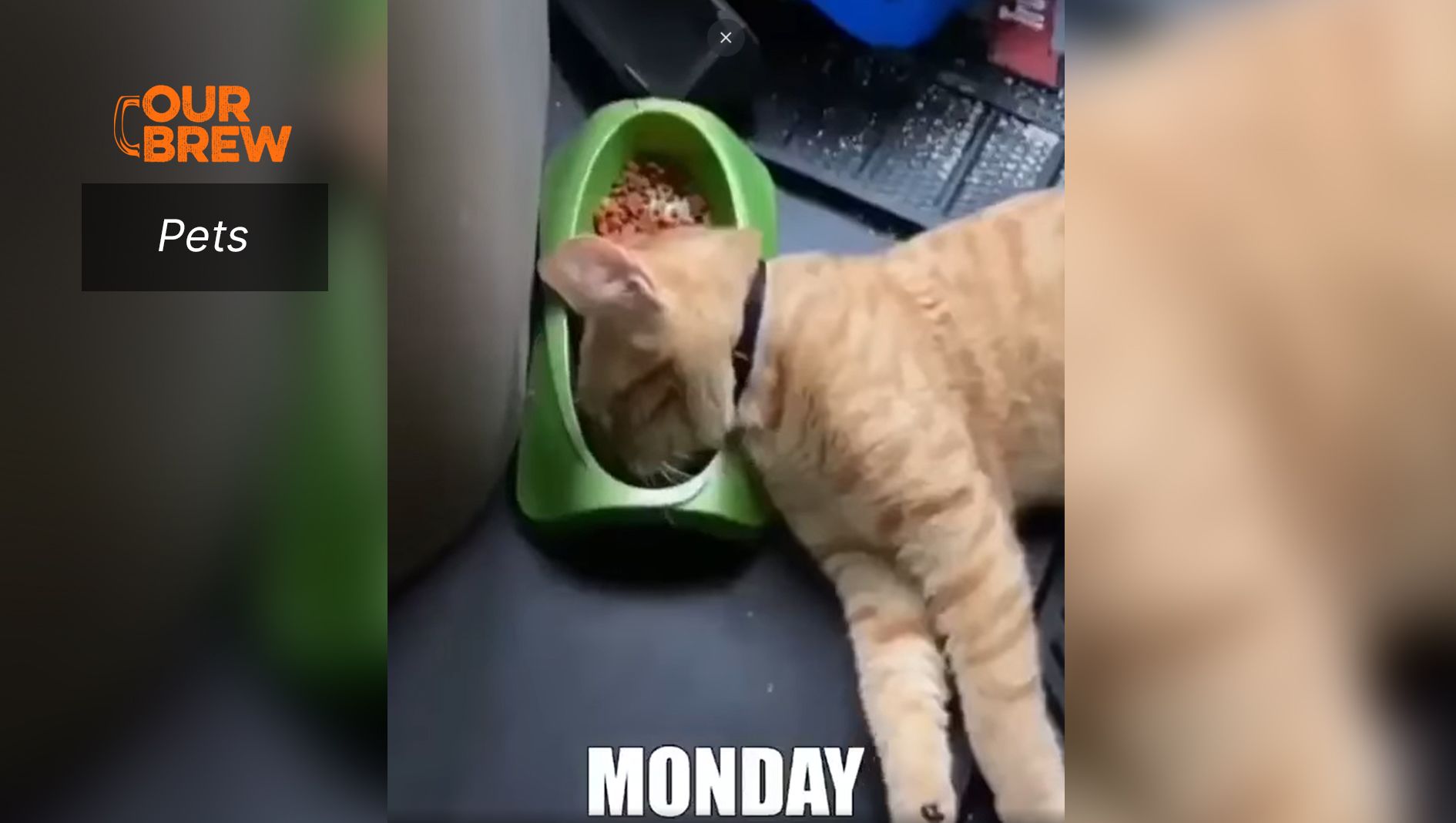 So, How Was Your Week?