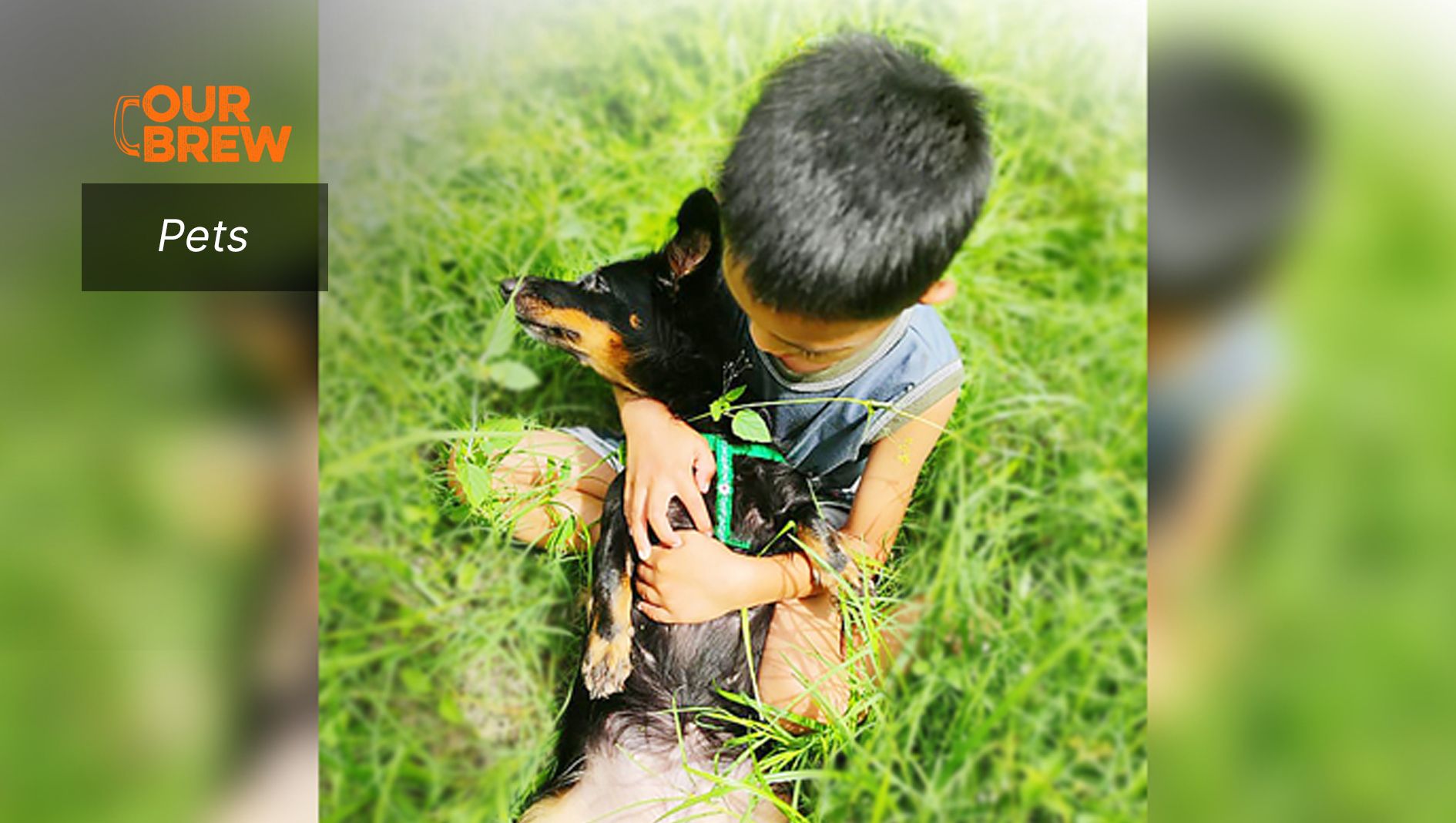 Growing up with pets