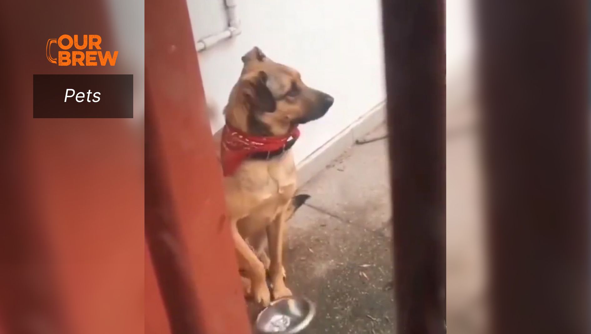 Hello...It’s Lunchtime...