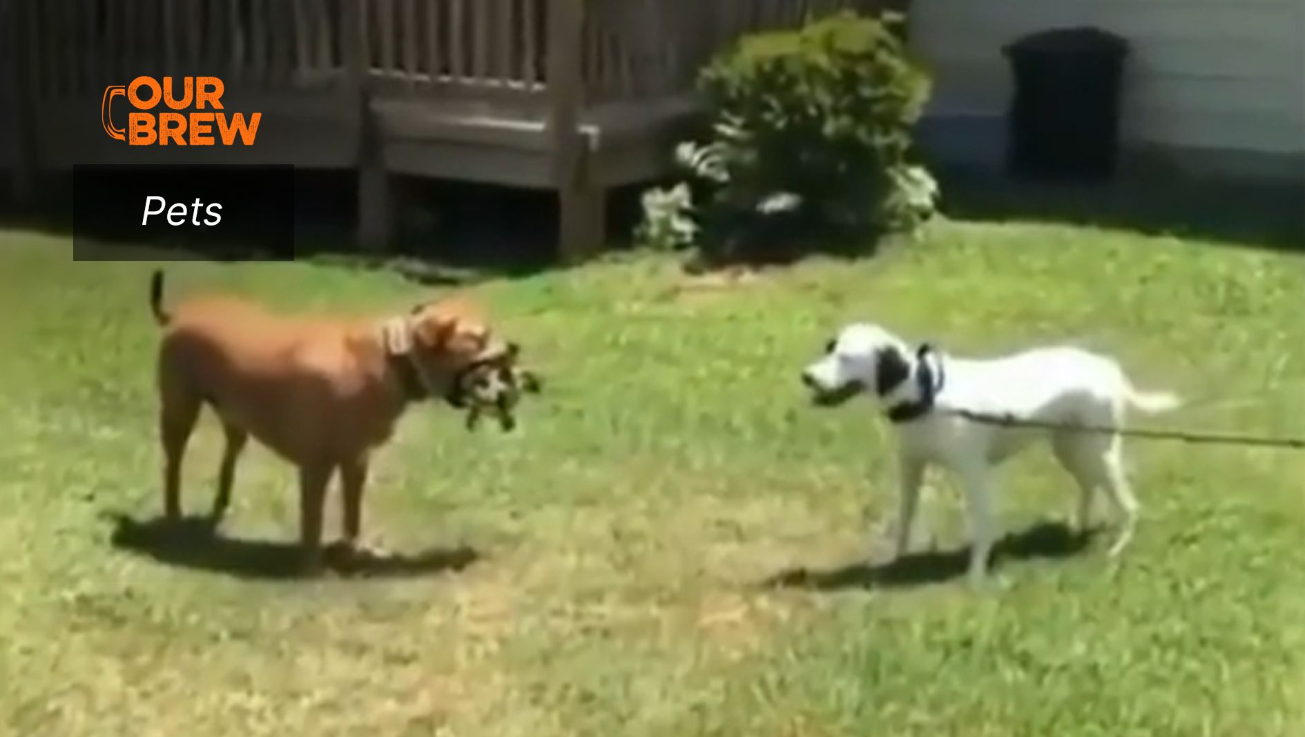 Want It?
Here, Go Get It