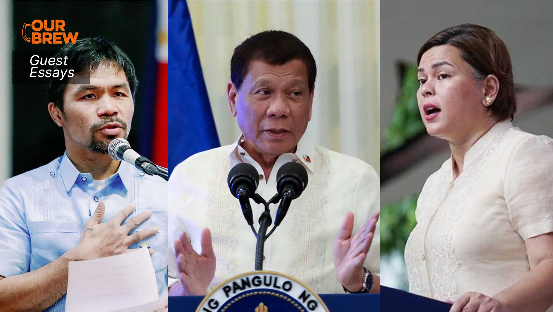 Rambulan sa Politika