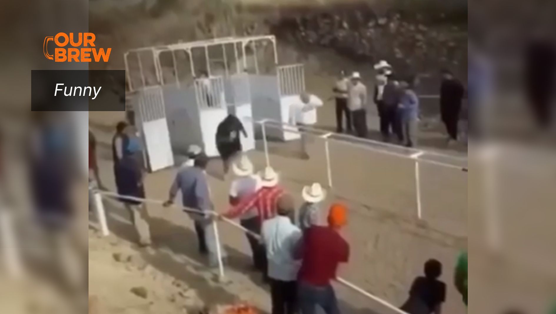 ‘Adobo ang ulam!’