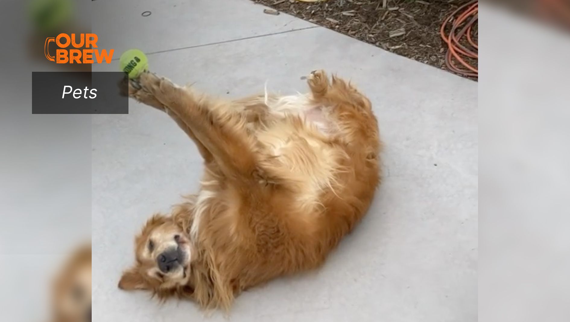 It’s All About Balance