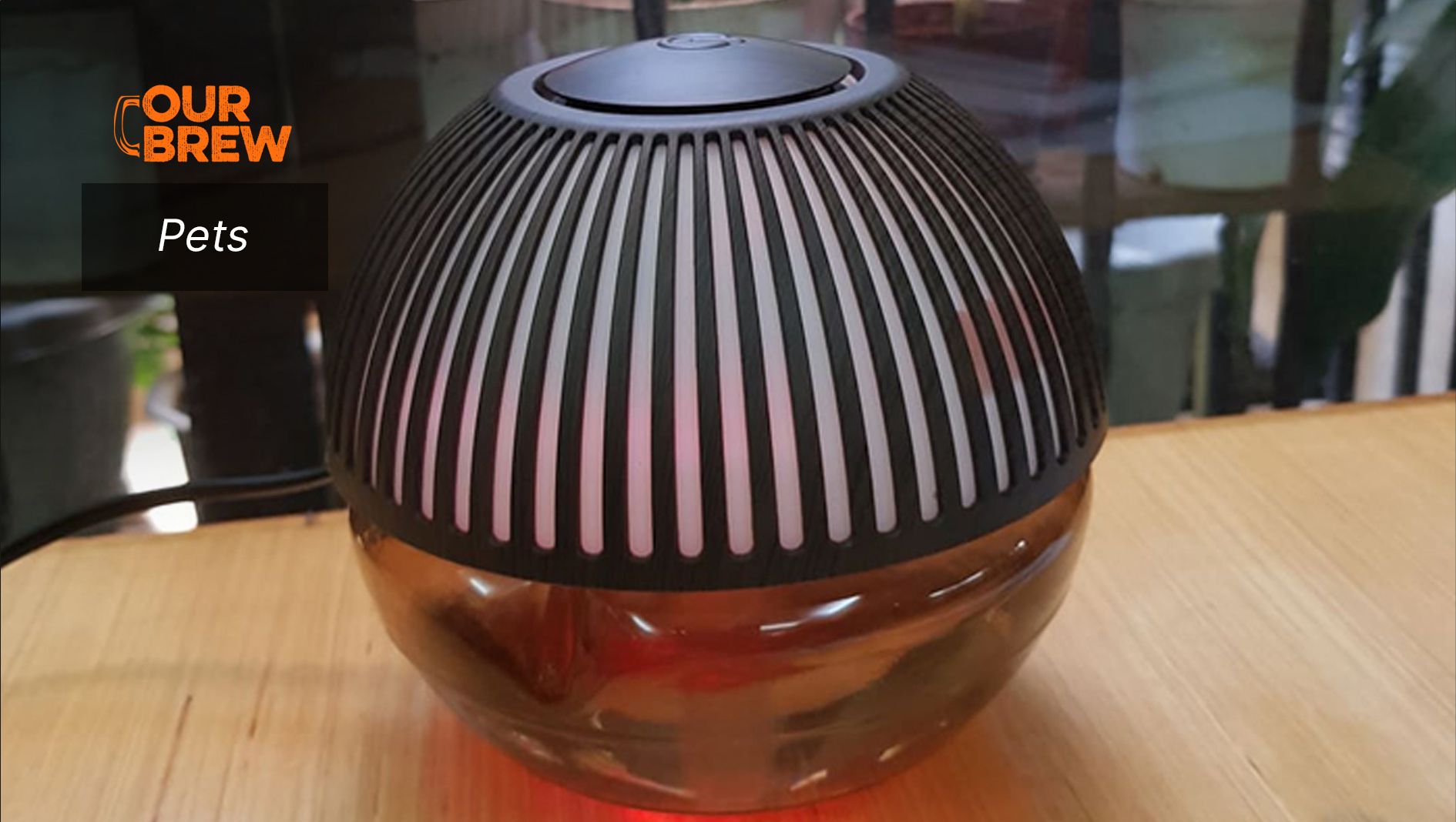 Are Humidifiers Safe for Pets?