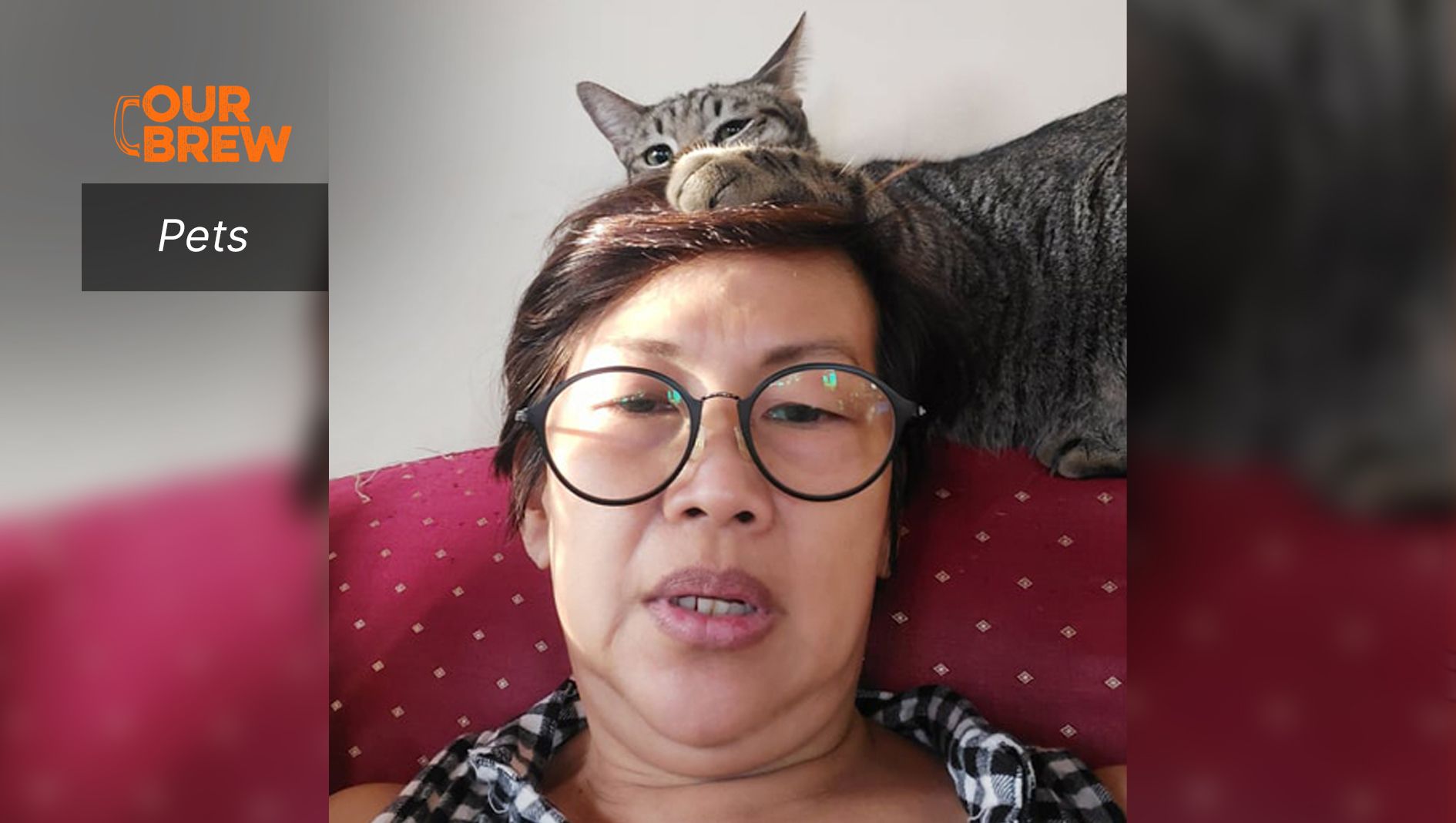 Pets: Small Unsung Heroes of Mental Health