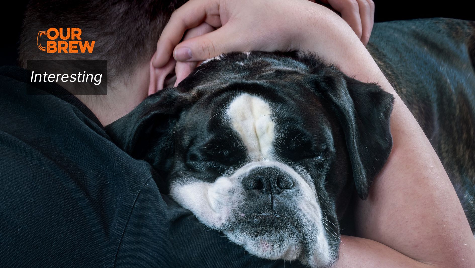 New Research Suggests Cat and Dog ‘Moms’ and ‘Dads’ Really Are Parenting Their Pets – Here’s The Evolutionary Explanation Why