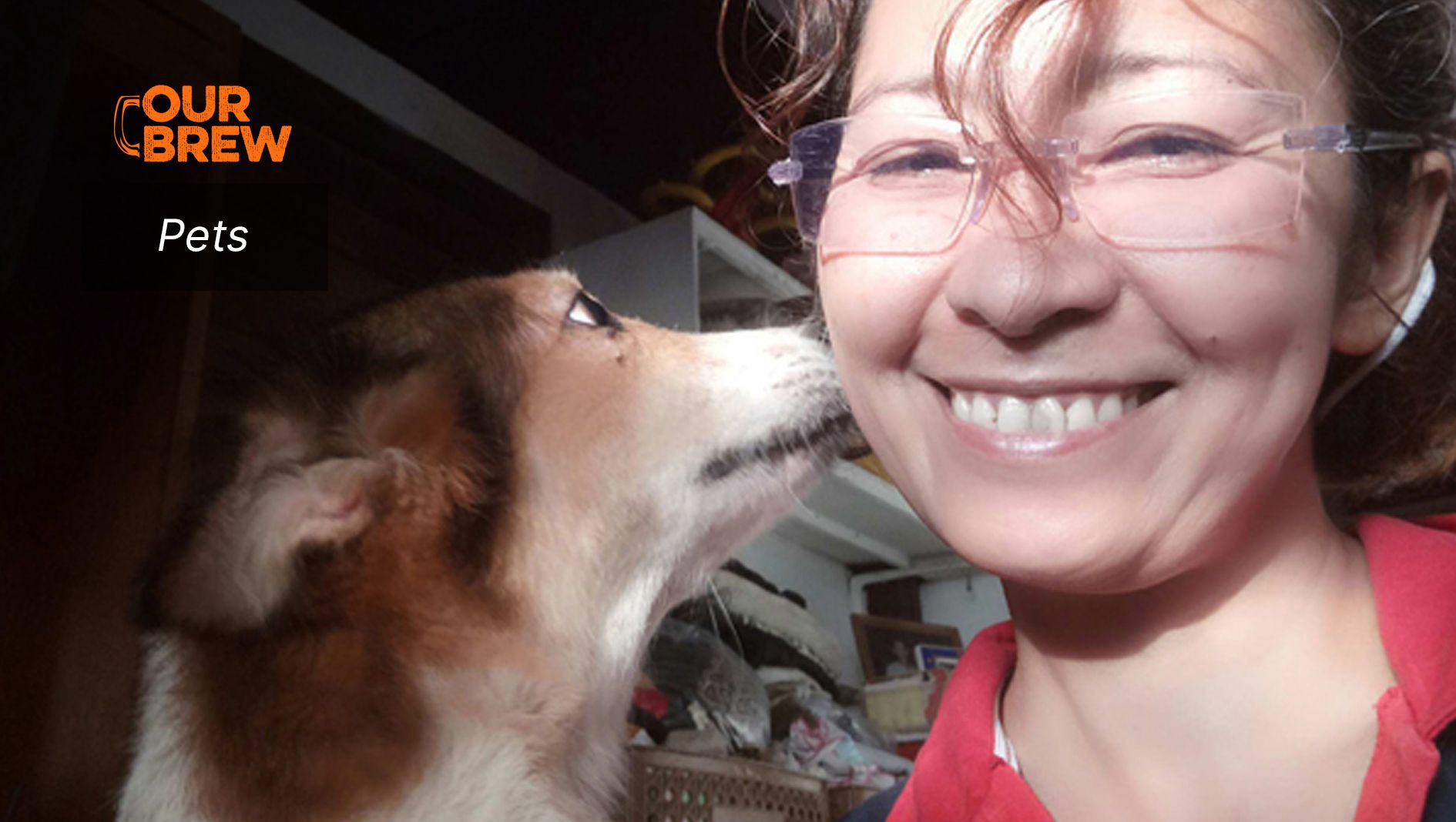 What You Can Feed your Pets When You Are Jobless