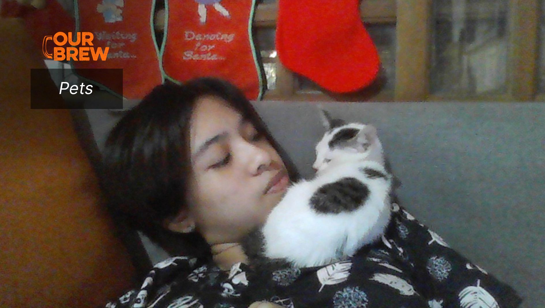 Cats: The Gifted Who Bring Gifts