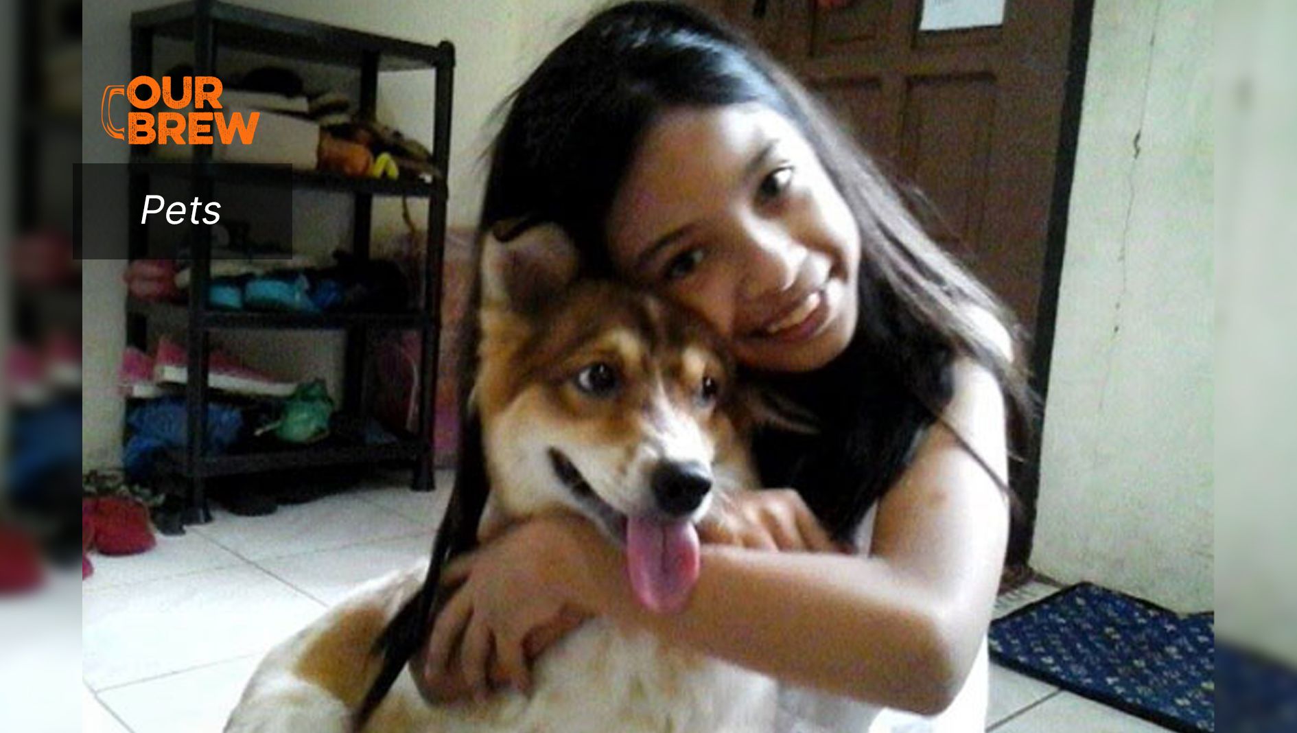 Loving Life More (Thanks to my Pets)