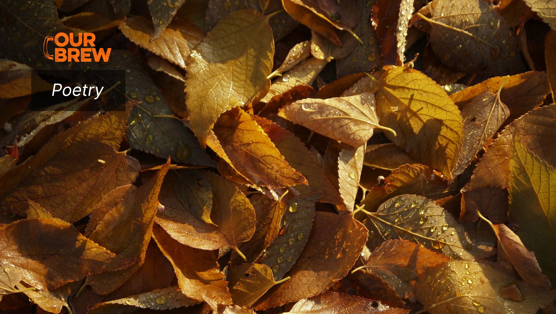 After Her Mother Passed