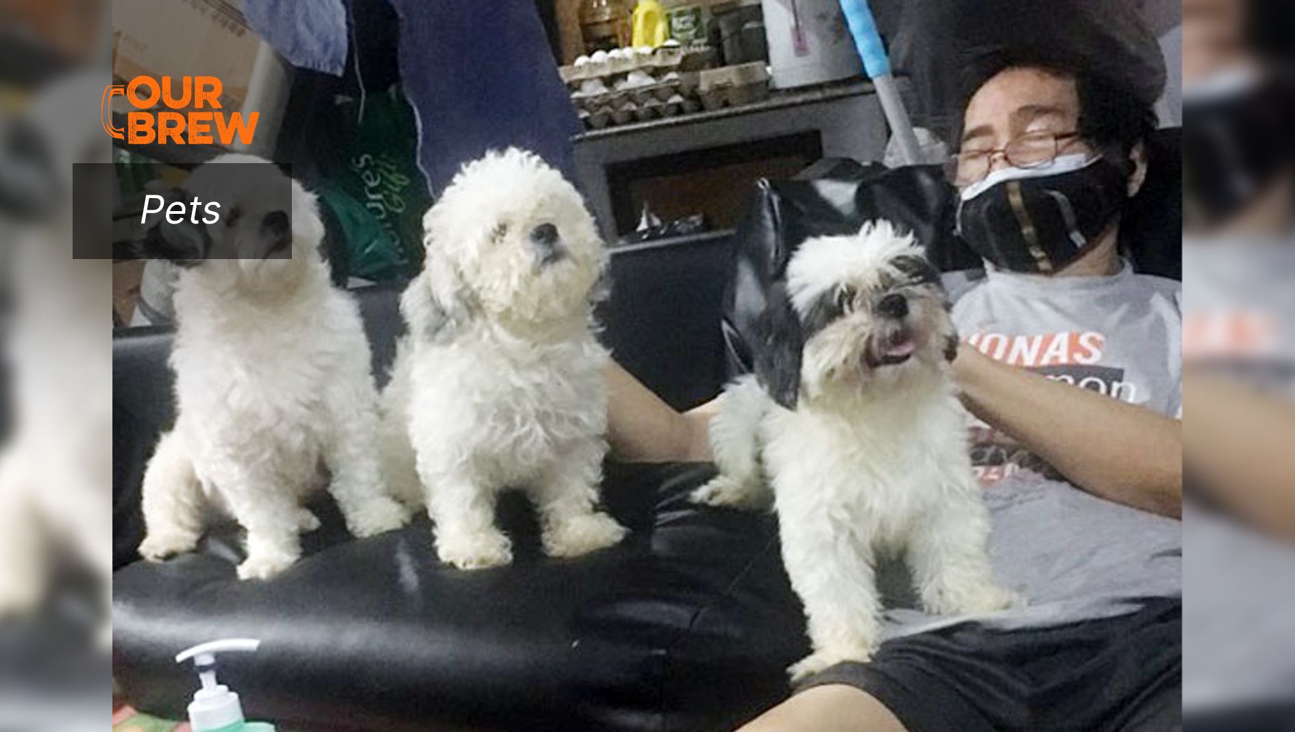 Does Your Pet Freak Out When You Leave the House?