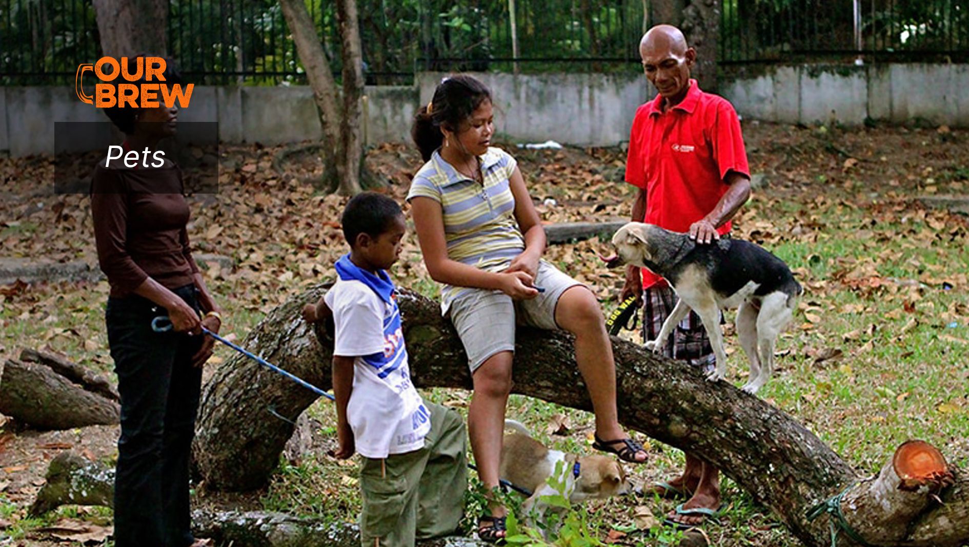 Are Animals Conscious Beings Like Humans?