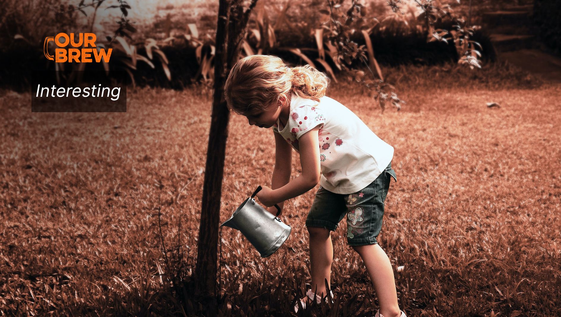 Why Be Cremated When you Can Grow a Tree?