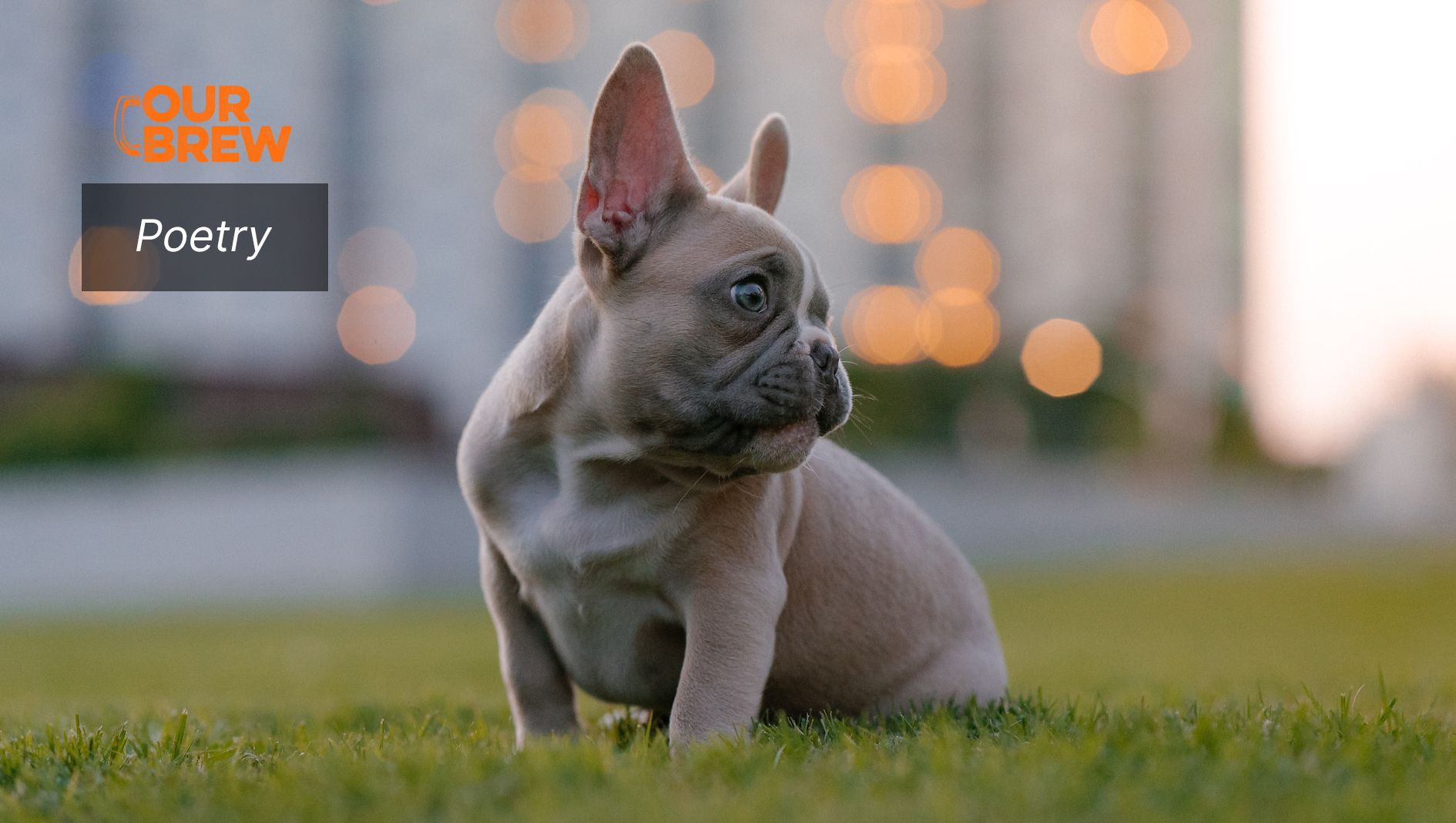 The Happening While Dog-walking along Escriva Drive