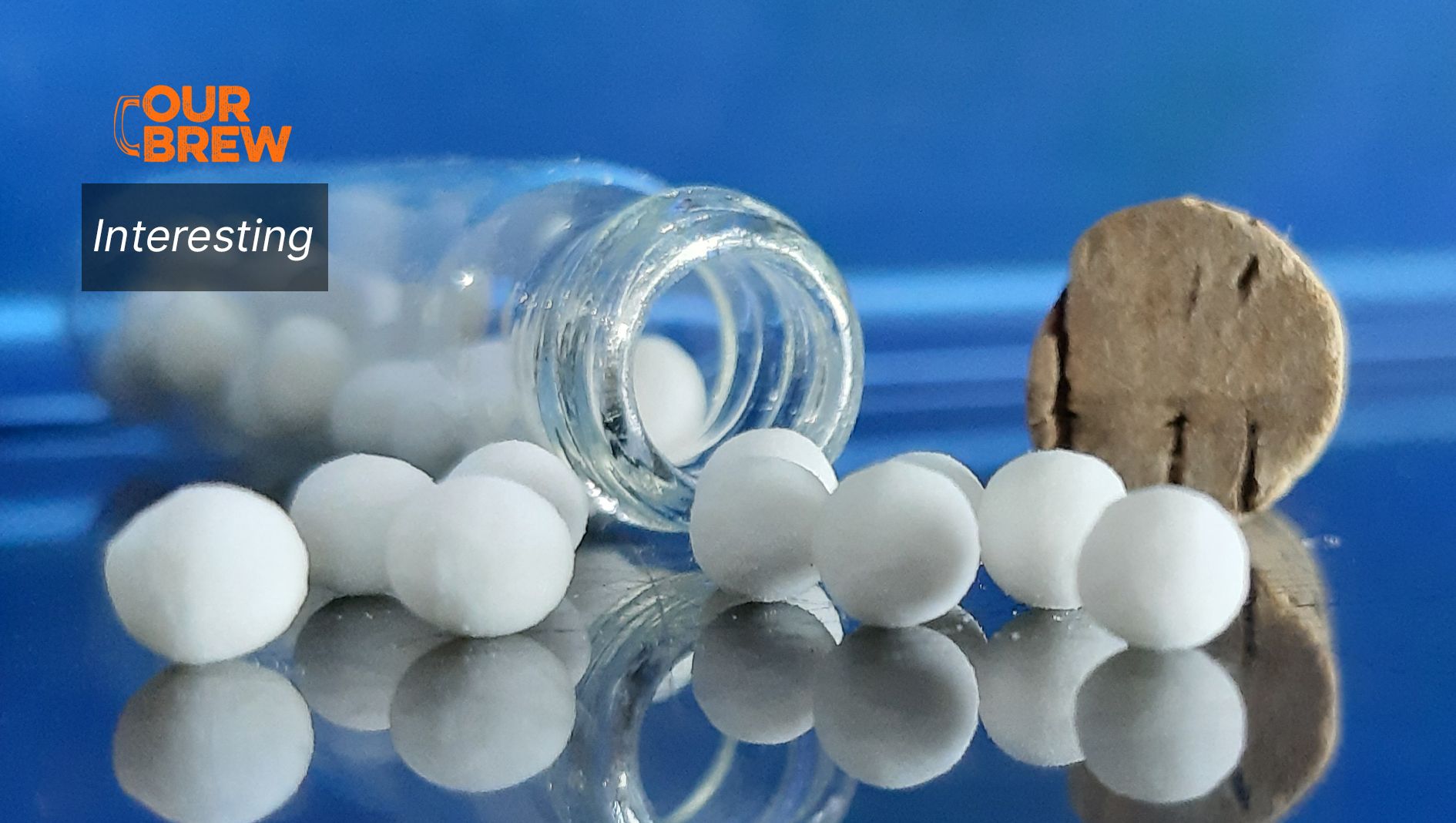 The Way Home from Homeopathy