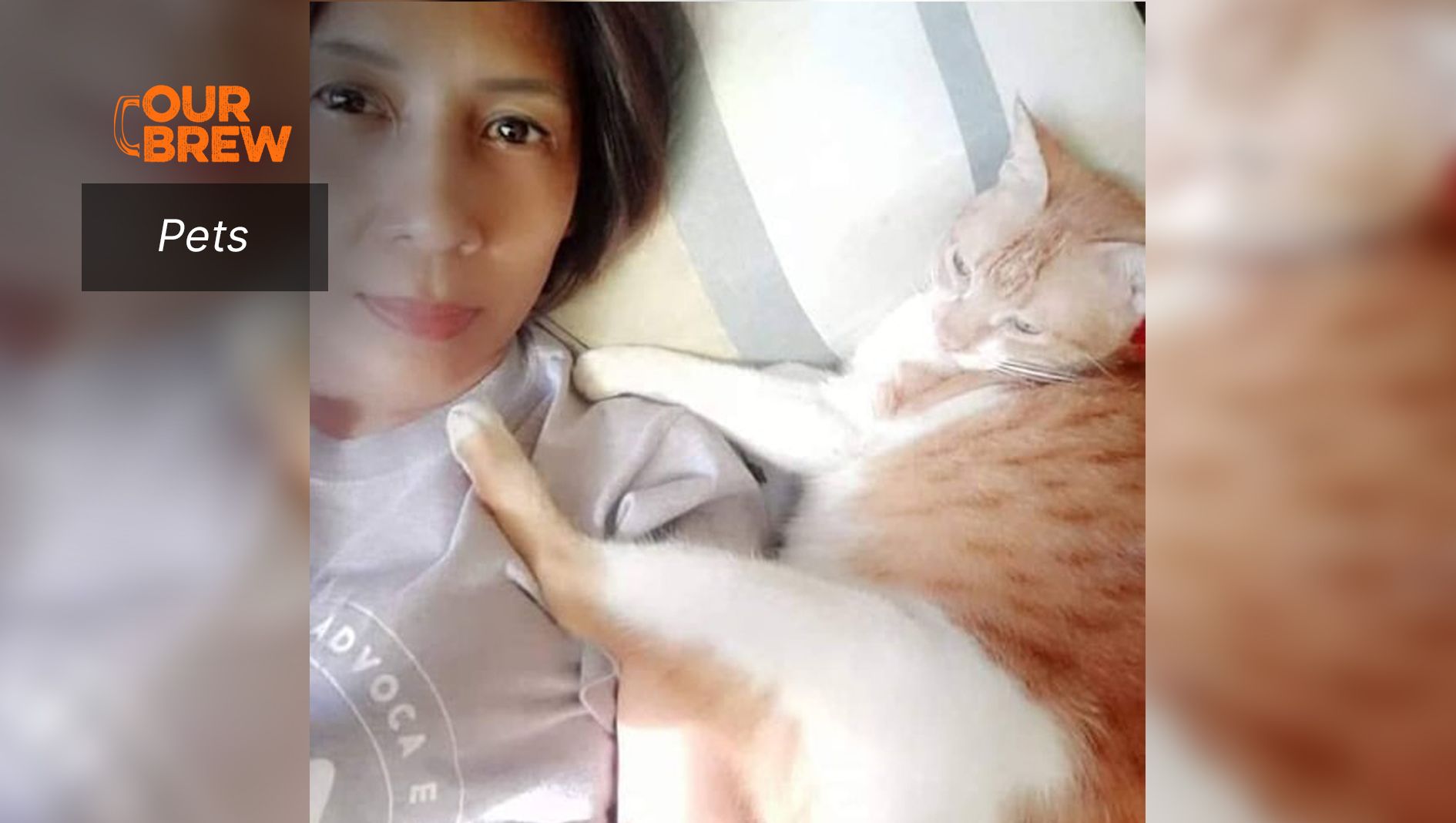 Confessions of a Single Pet Parent