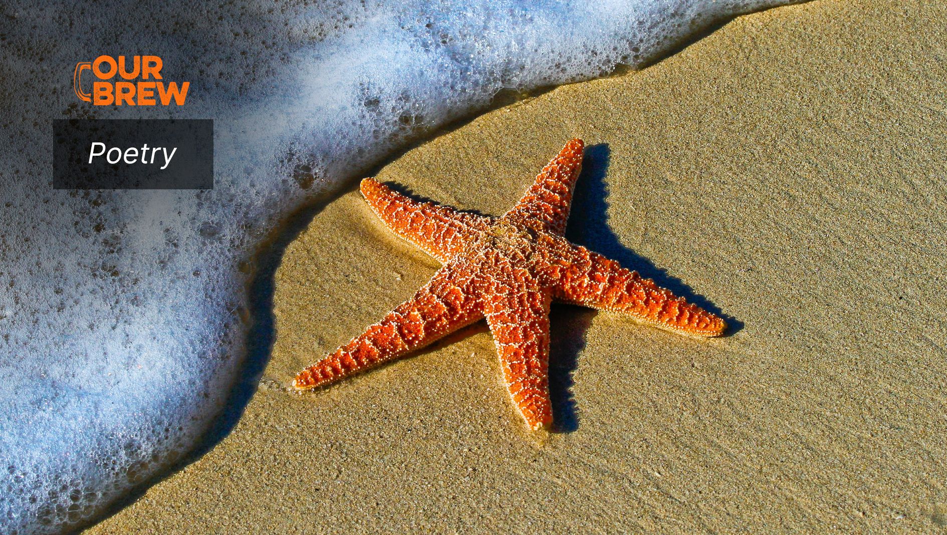 Beachcomber Nocturne