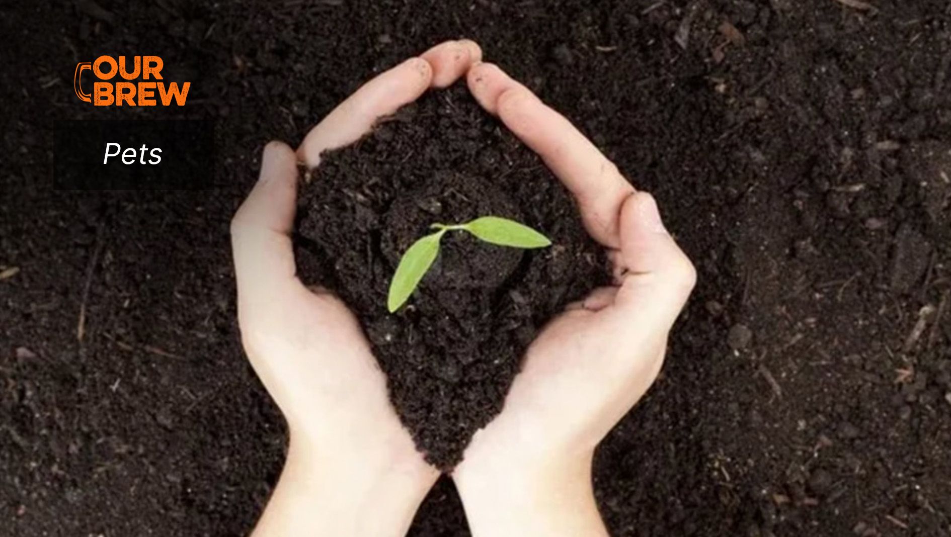 Composting: The Future in Pet Burial