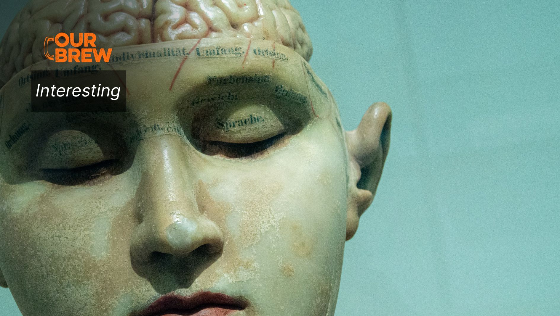 My Work Investigating the Links Between Viruses and Alzheimer's was Dismissed for Years