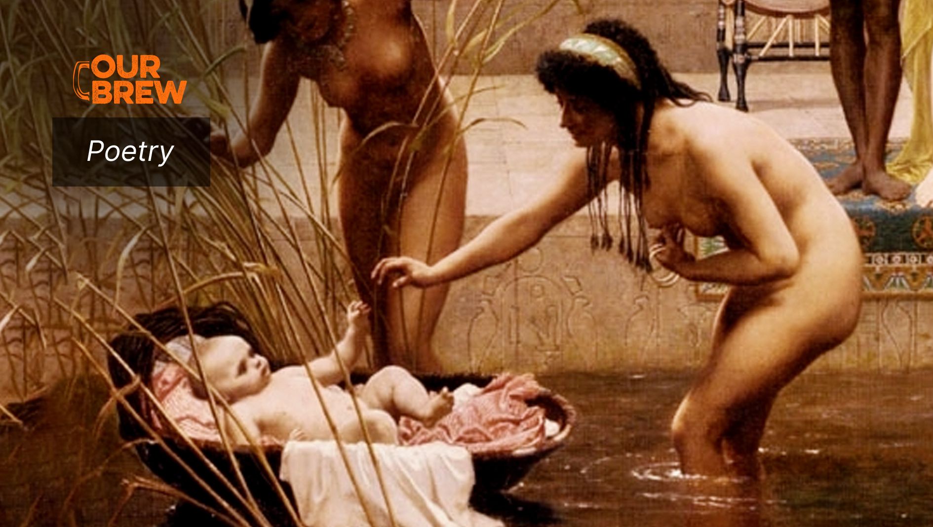 Reads Likes Comments