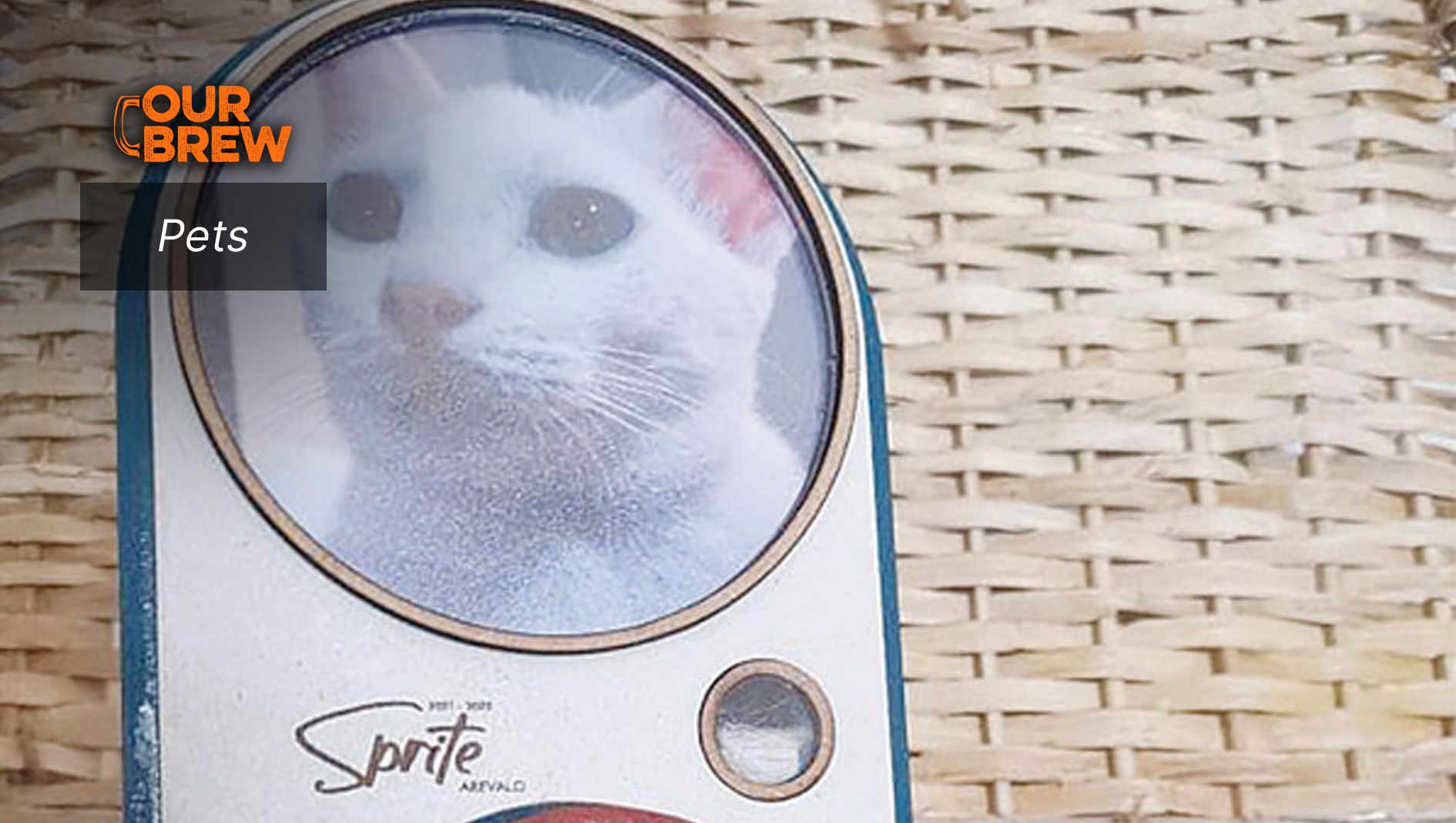 How To Cope with Pet Loss and Find Closure