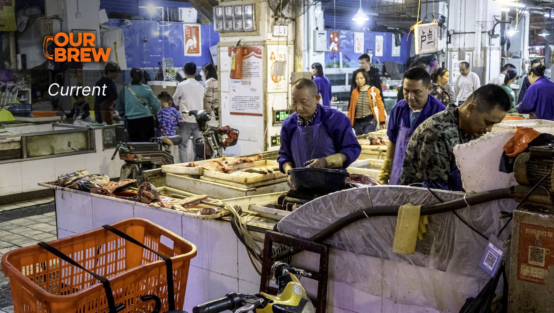 Origin of Covid: A Mystery Resolved?