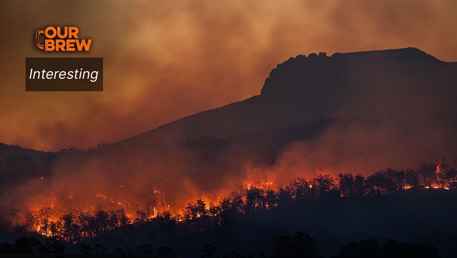 Scientists Warned About Climate Change in 1965. Nothing was Done.