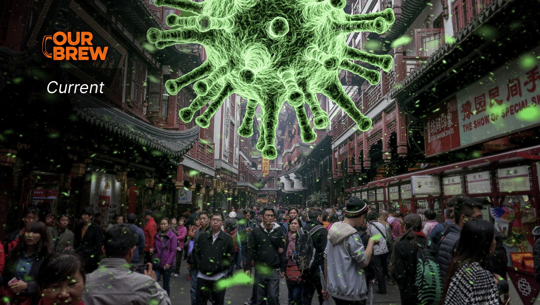 Preparing for Future Pandemics: Learning from Covid-19