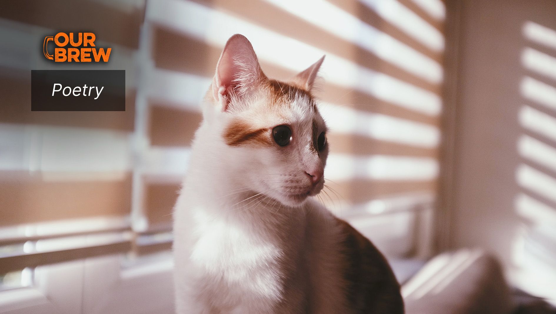 The Patience of the Sun