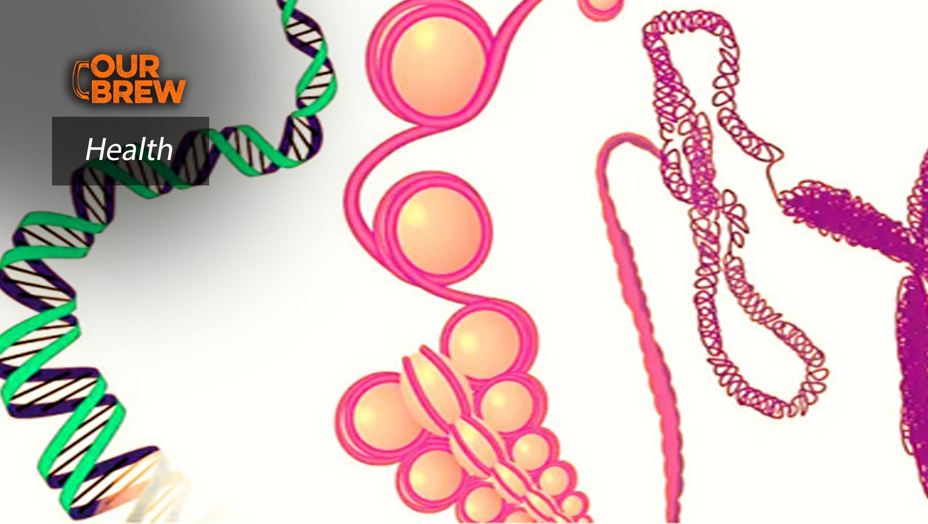 Afraid of Cancer or Getting Old? Soon There Might Be A Pill For It