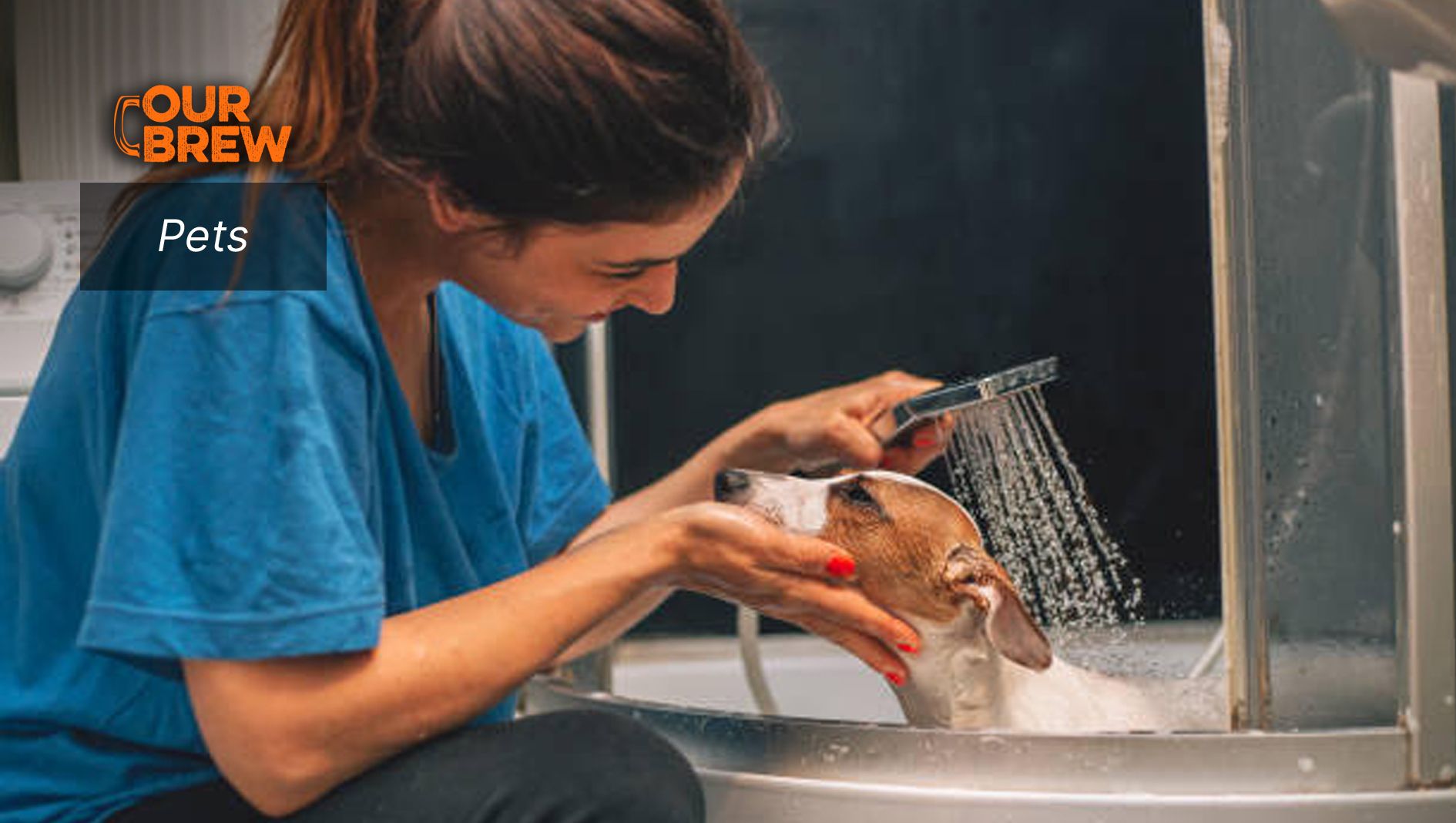 Organic Shampoo, NOT NATURAL, Is The Best For Dogs