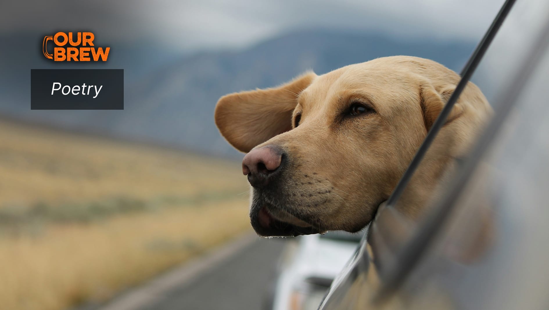 That We Be Like Dogs