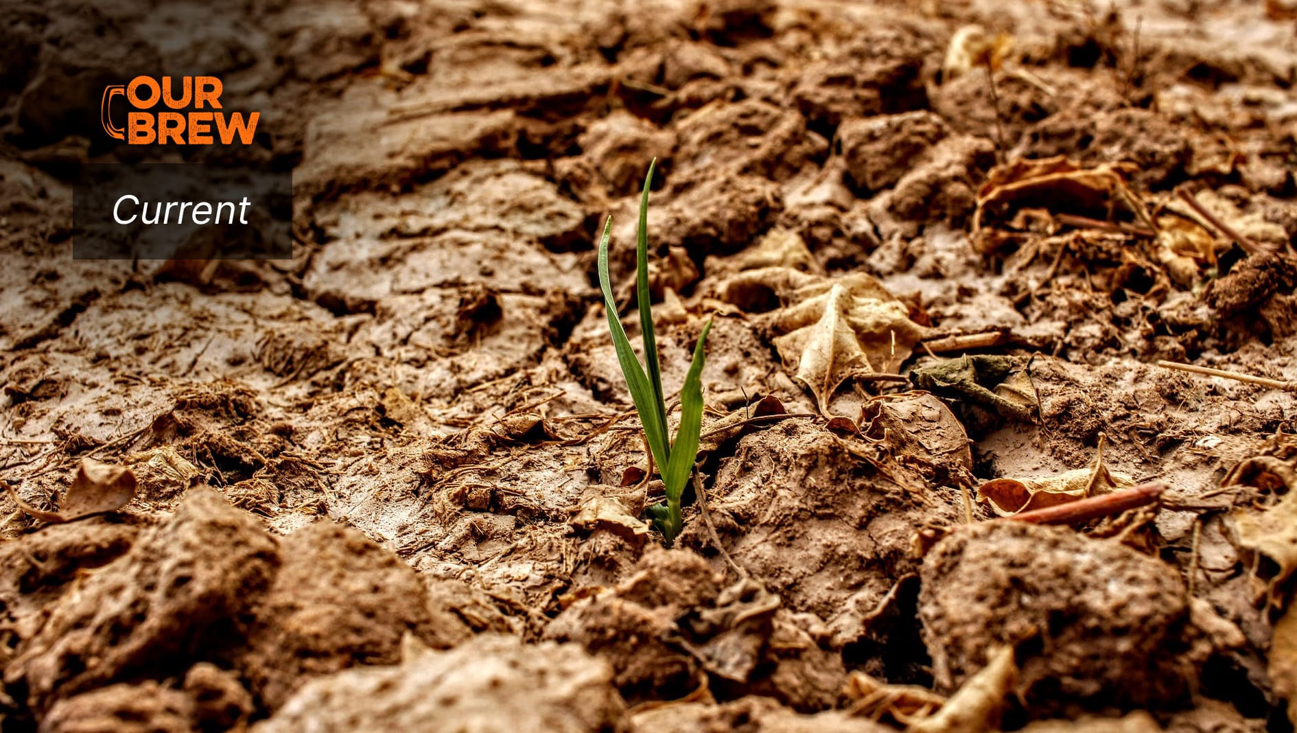 Greenpeace Philippines Statement on Record Breaking Heat in 2023, Almost Hitting 1.5°c