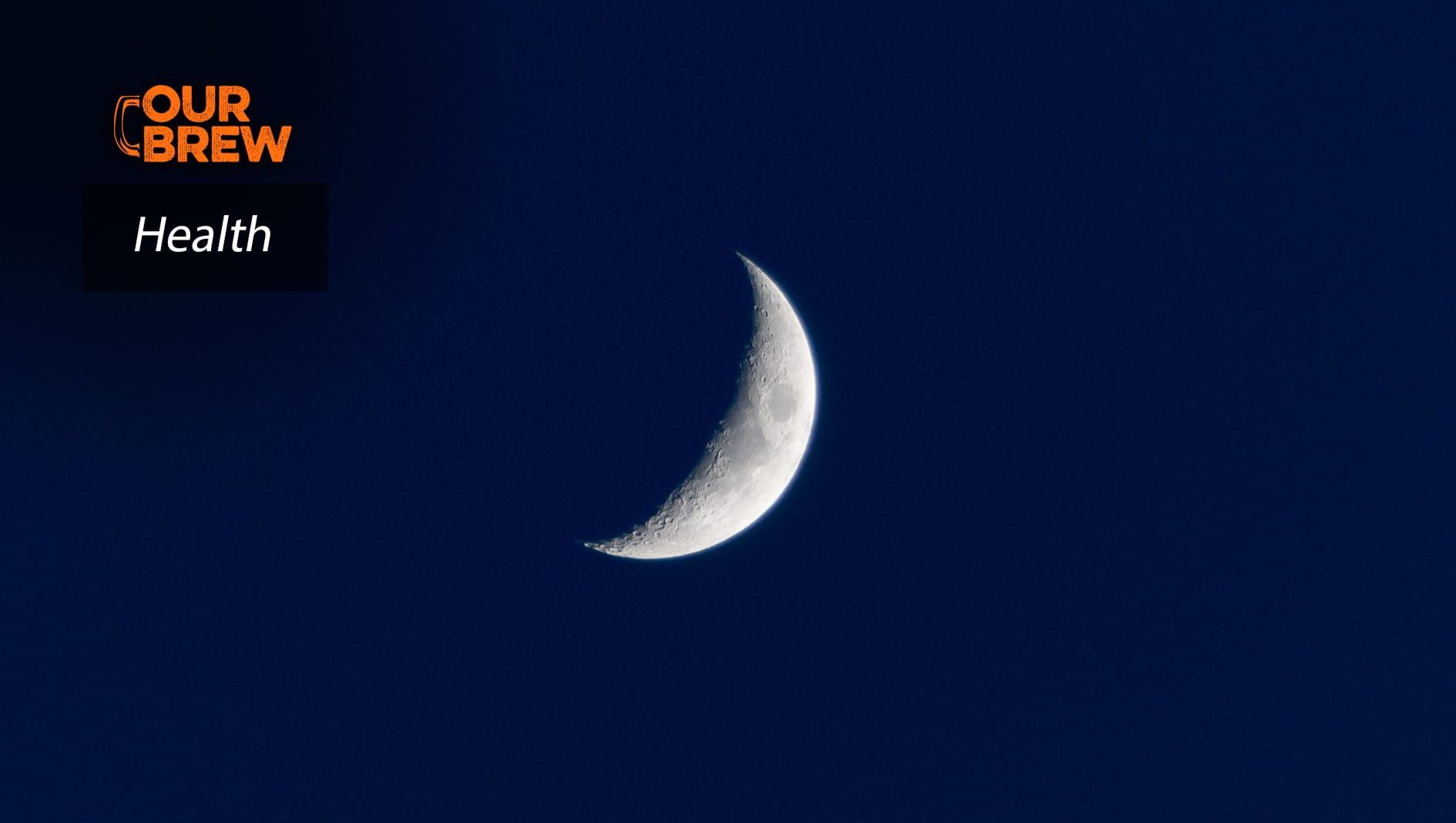 The Curious Link Between Animal Hibernation and Ageing – and What Humans Could Learn From It